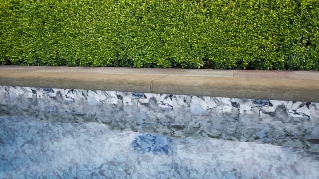 Carrara White Marble gallery image 4