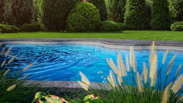 Silver Antiqua gallery image 6